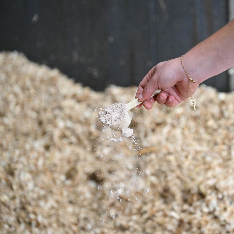 Natural'Absorb Natural'Innov litière cheval - Le Paturon