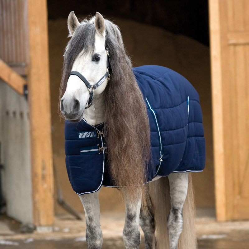 Couverture écurie cheval 400g Rambo Stable Horseware marine blanc - Le Paturon