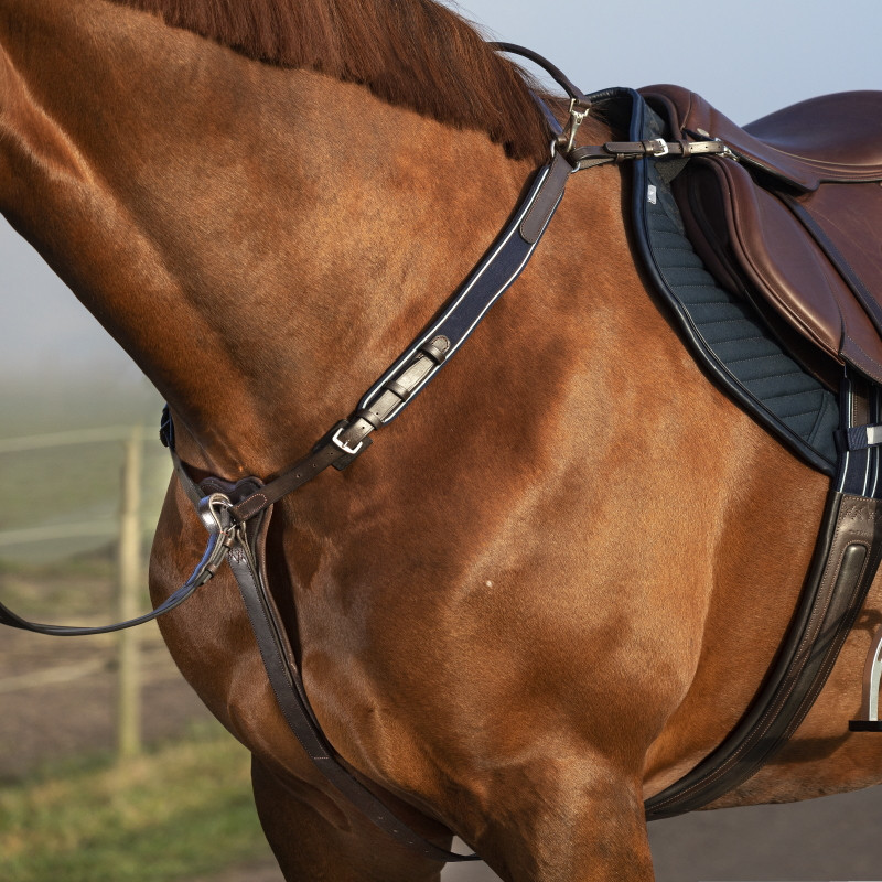 Collier de chasse cheval élastique trois points avec martingale Micklem Horseware brun - Le Paturon