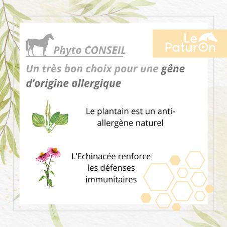 Bronchial Elixir bronche cheval Leovet