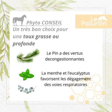 Easy Breath Sirop Cheval Vital Herbs