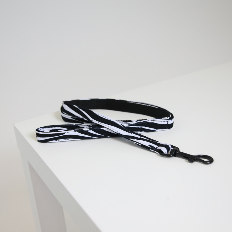Laisse chien Zebra Kentucky - Le Paturon