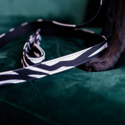 Laisse chien Zebra Kentucky - Le Paturon