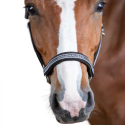 Licol nylon cheval Athletic Waldhausen gris asphalte - Le Paturon