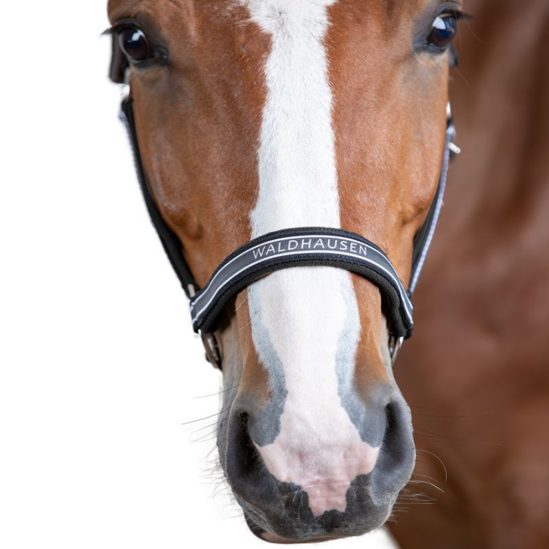 Licol nylon cheval Athletic Waldhausen gris asphalte - Le Paturon
