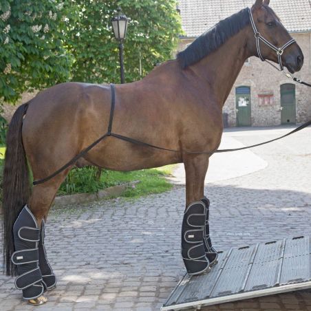 Rampe pour camion et van cheval Waldhausen - Le Paturon
