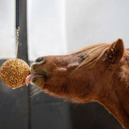 Likit Granola Stall Ball - Boule à muesli cheval granola - Le Paturon