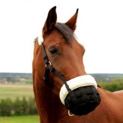 Muselière cheval pâturage maille polaire mouton Stable Pro noir - Le Paturon