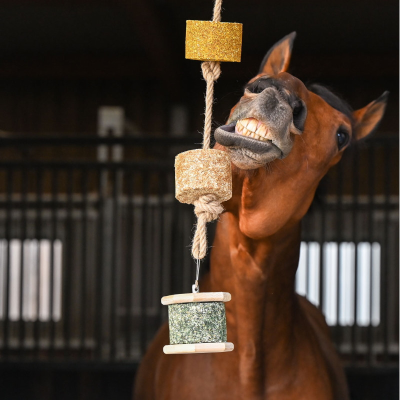 Natural'Rock pierre à lécher friandises cheval Natural'Innov - Le Paturon