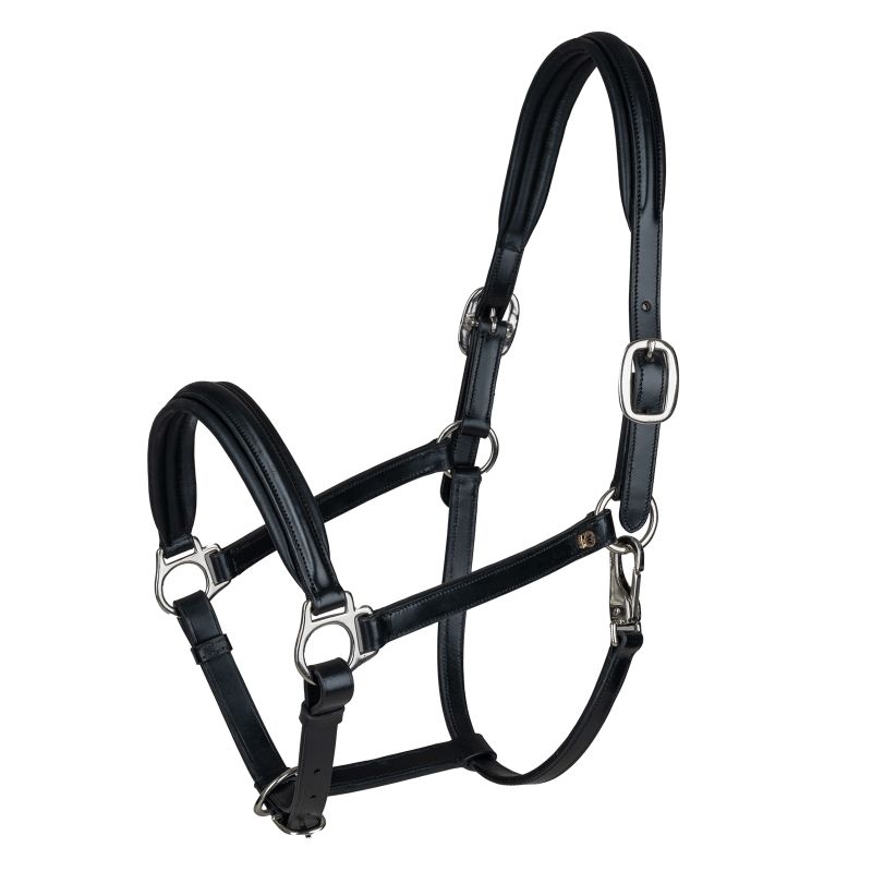 Licol En Cuir Noir PFIFF Basicline - Avec Ferrures Argentées Et Têtière Réglable - Taille Full - Pour L'équitation