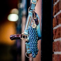 Longe cheval Signature Horseware bicolore marine bleu - Le Paturon