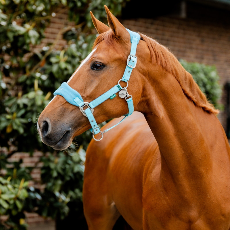 Turquoise Croix Bandeau Cuir Frontal Cheval 45-0150 - Huilé Foncé