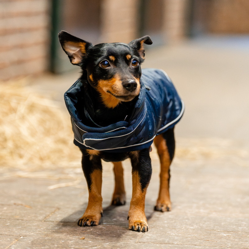 Manteau chien Signature 200g Horseware marine - Le Paturon
