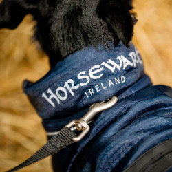 Manteau chien Signature 200g Horseware marine - Le Paturon