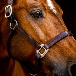 Licol cheval cuir Signature Horseware marron brun - Le Paturon
