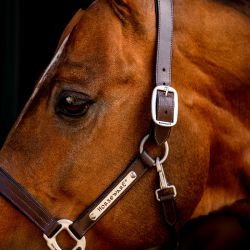 Licol cheval cuir Signature Horseware marron brun - Le Paturon