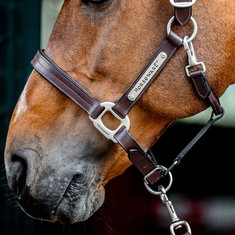 Licol cheval cuir Signature Horseware marron brun - Le Paturon