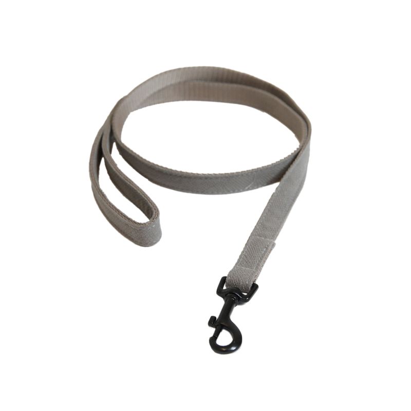 Laisse chien Lézard Kentucky beige - Le Paturon