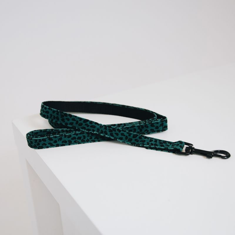 Laisse chien Léopard Kentucky vert sapin - Le Paturon