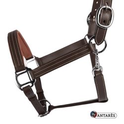 Licol cheval Signature Antarès marron - Le Paturon