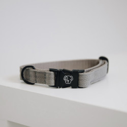 Collier chien Lézard Kentucky beige - Le Paturon