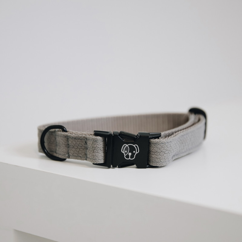 Collier chien Lézard Kentucky beige - Le Paturon