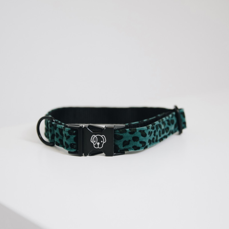 Collier chien Leopard Kentucky vert - Le Paturon