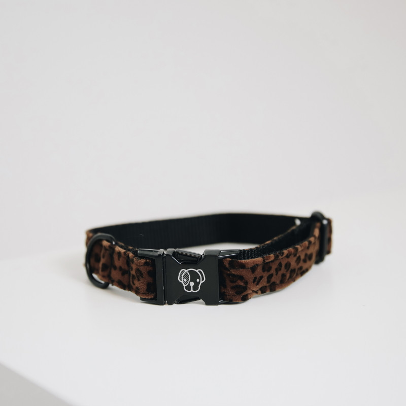 Collier chien Leopard Kentucky marron - Le Paturon