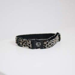 Collier chien Leopard Kentucky gris - Le Paturon