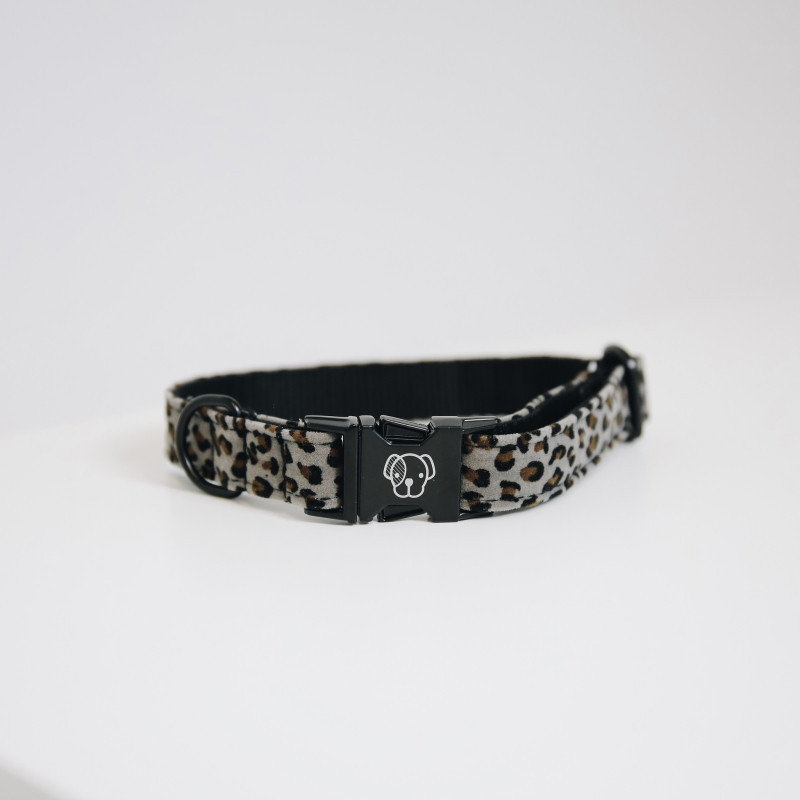 Collier chien Leopard Kentucky gris - Le Paturon