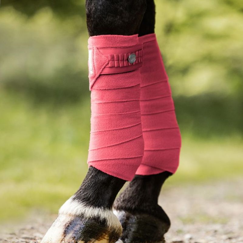 Bandes de polo cheval Florenz Waldhausen hibiscus - Le Paturon