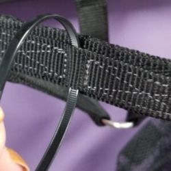 Licol cheval panier fourbure Breakway Thinline noir - Le Paturon