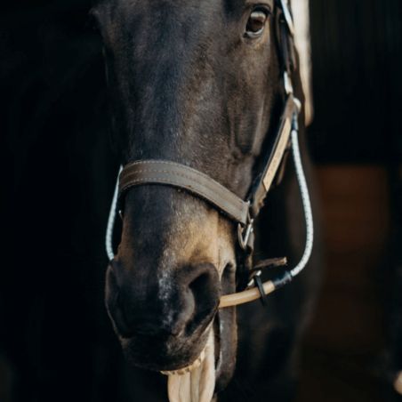 Licol cheval stress Busy Buddy Thinline - Le Paturon