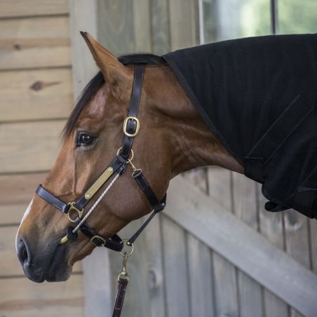 Licol cheval stress Busy Buddy Thinline - Le Paturon