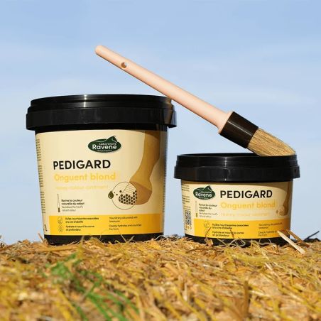 Pedigard onguent blond Ravene - Onguent cheval - Le Paturon