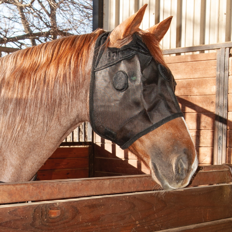 Masque anti-stress cheval MAGNTX Mask Classic Equine Cashel noir - Le Paturon