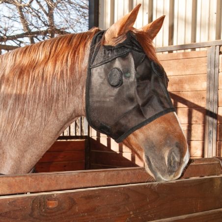 Masque anti-stress cheval MAGNTX Mask Classic Equine Cashel noir - Le Paturon