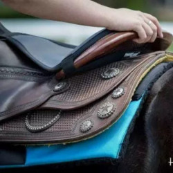 Dessus de selle cheval western Confort Seat Seaver Thinline noir - Le Paturon