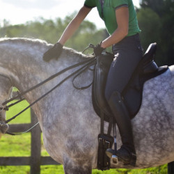 Dessus de selle cheval dressage Confort Seat Seaver Thinline noir - Le Paturon
