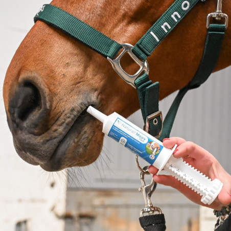 Natural Moov Flash Natural Innov - Locomotion cheval - Le Paturon
