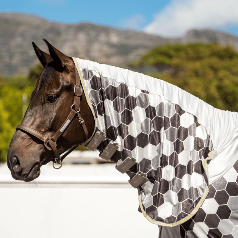 Chemise anti-dermite cheval Equilibrium Field Relief intégrale gris - Le Paturon