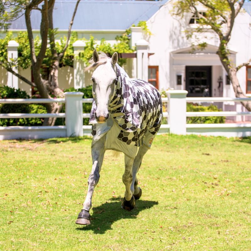 Chemise anti-dermite cheval Equilibrium Field Relief intégrale gris - Le Paturon