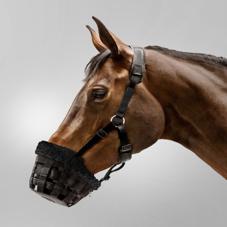 Muselière de pâturage cheval Comfort Waldhausen noir - Le Paturon