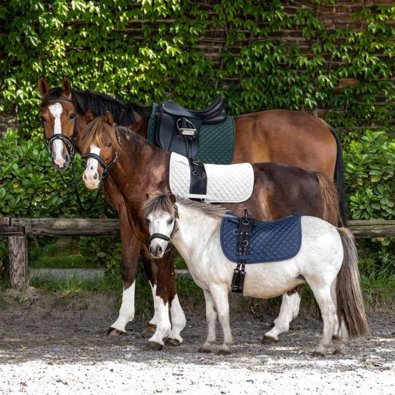 Tapis cheval matelassé Felix Waldhausen - Le Paturon