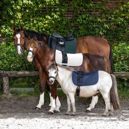 Tapis cheval matelassé Felix Waldhausen - Le Paturon
