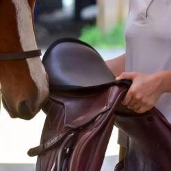 Dessus de selle cheval mixte Confort Seat Seaver Thinline havane - Le Paturon