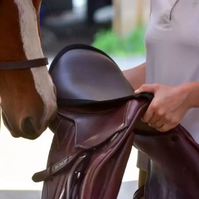 Dessus de selle cheval mixte Confort Seat Seaver Thinline havane - Le Paturon