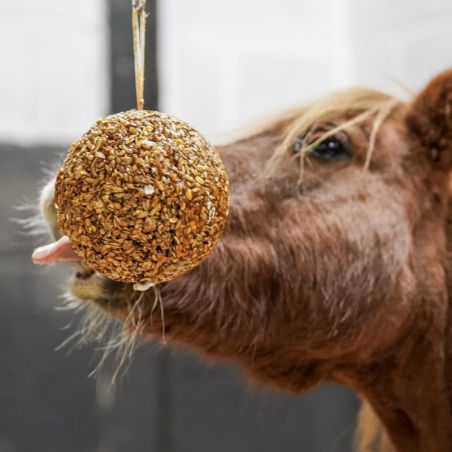 Likit Granola Stall Ball - Boule à muesli cheval granola - Le Paturon