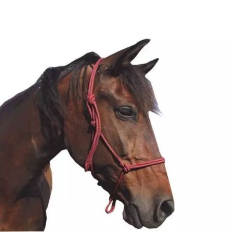 Licol de travail éthologique cheval Babia FRA rouge jaune - Le Paturon