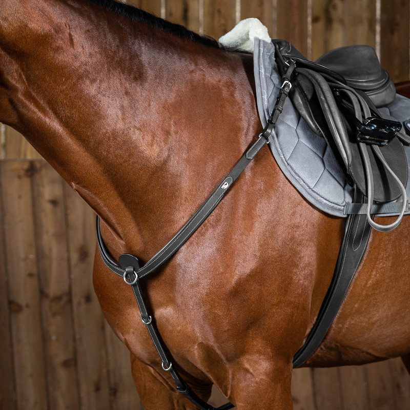 Collier de chasse Working by Dy'on cheval noir - Le Paturon